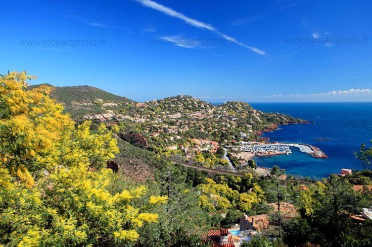 Studio 4P Vue Mer Calme Cap Esterel Saint-Raphael  Luaran gambar