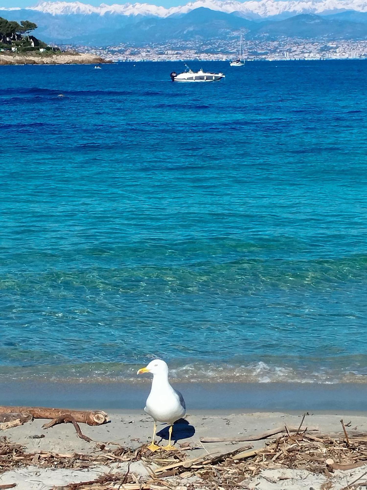 Studio 4P Vue Mer Calme Cap Esterel Saint-Raphael  Luaran gambar